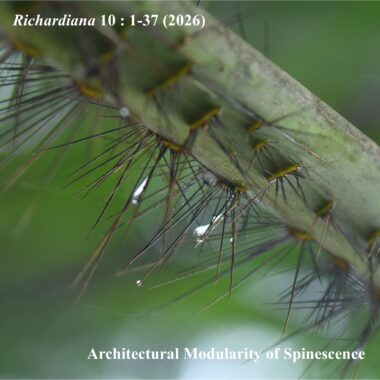 Architectural Modularity of Spinescence Architectural Modularity of Spinescence